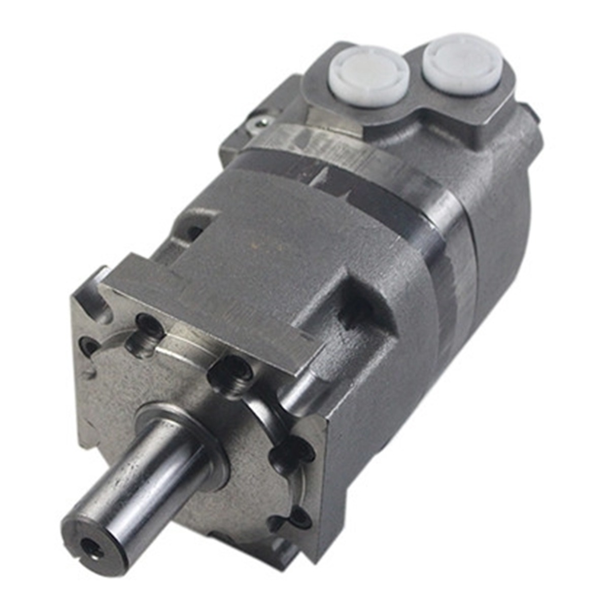Pompe hydraulique 109-1055-006 pour Eaton Char-Lynn