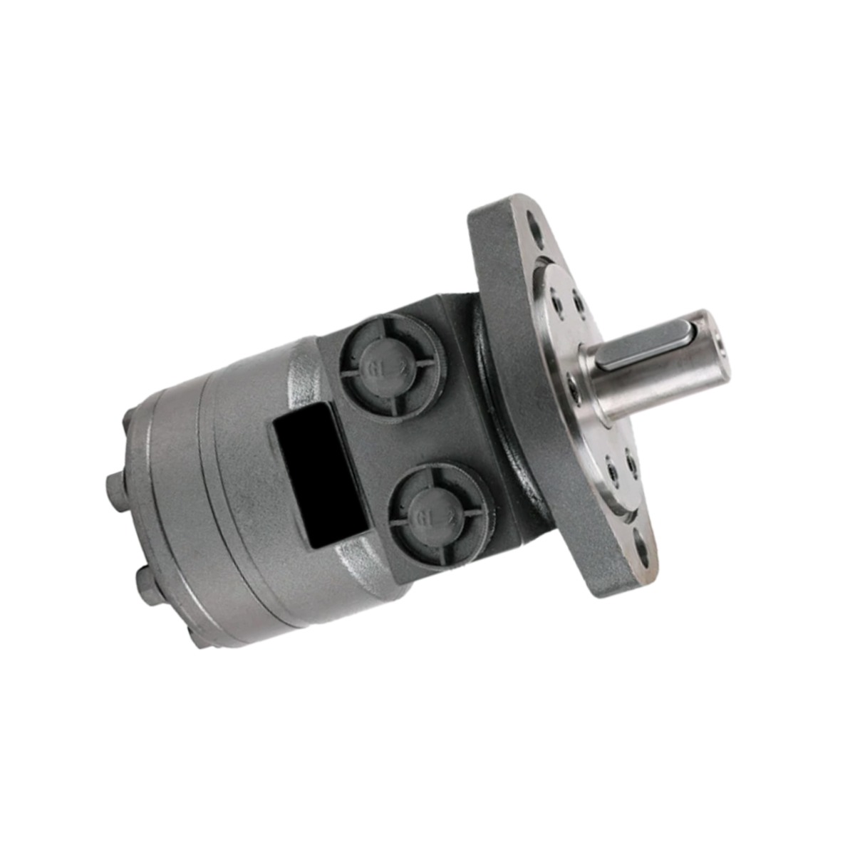 Moteur hydraulique 101-1074-009 pour Eaton