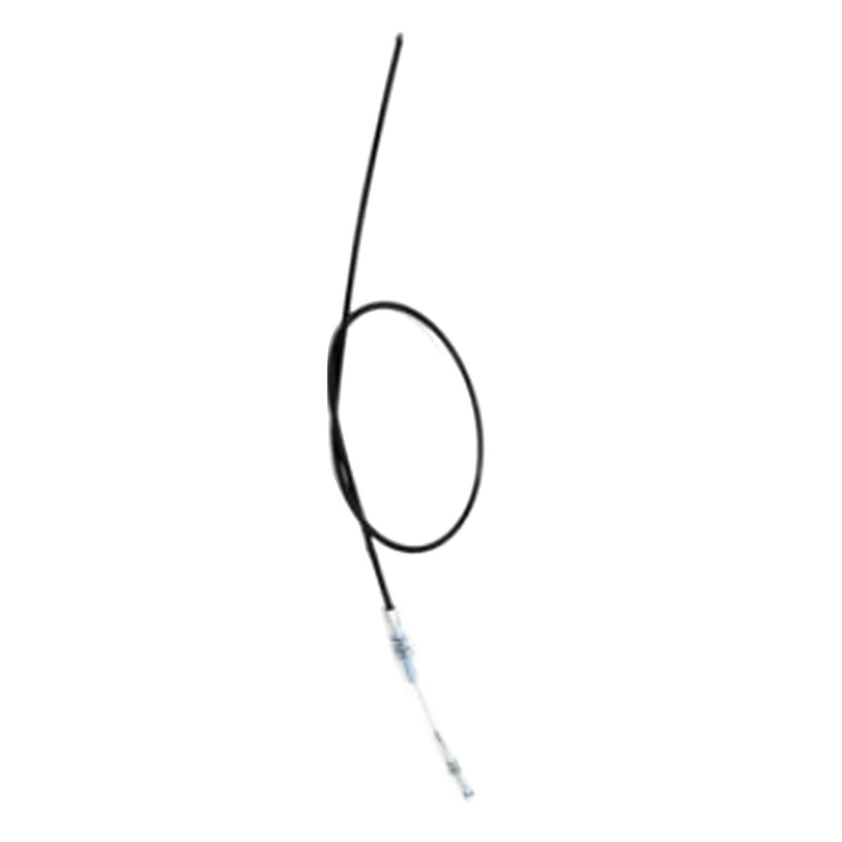 Câble 28360 pour Ardisam