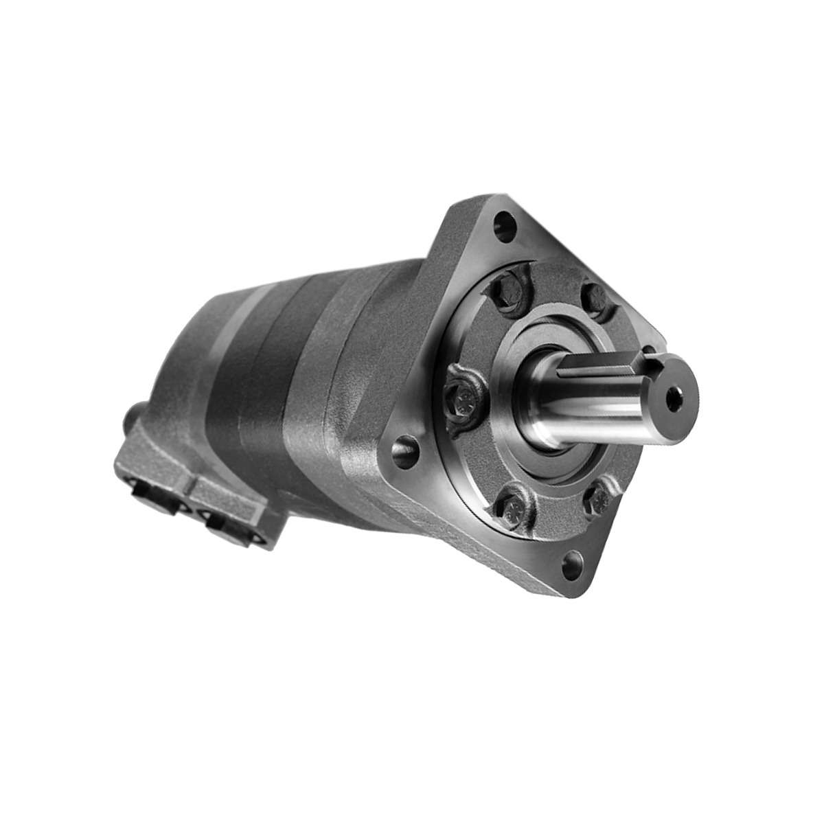 Moteur hydraulique 109-1190-006 pour Eaton