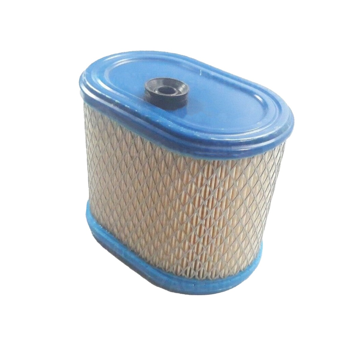 Filtre à air 100-014 pour Briggs & Stratton