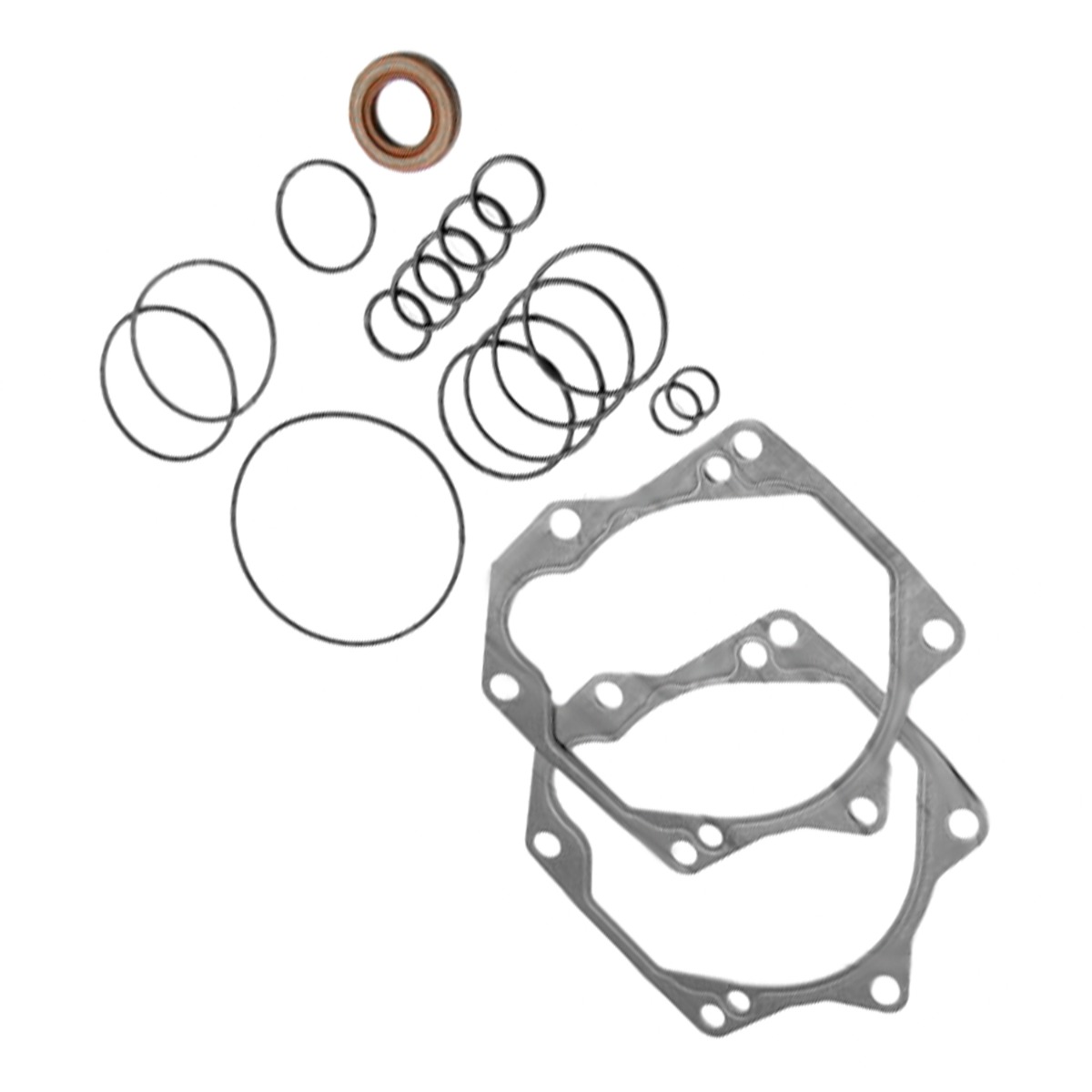 Kit de joint de pompe hydrostatique 6512943 pour Bobcat