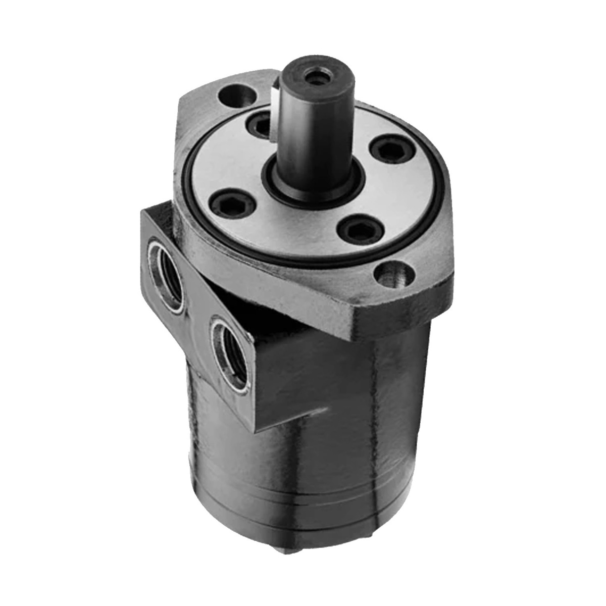 Moteur cycloïde TB0165AP100AAAA TE0165AP100AAAA TB0165AP100AAAB pour Parker