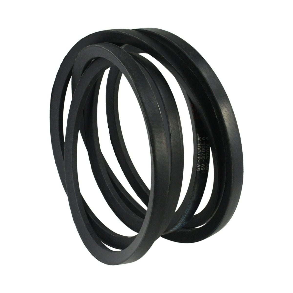 Courroies de pont 5104064 pour Ferris