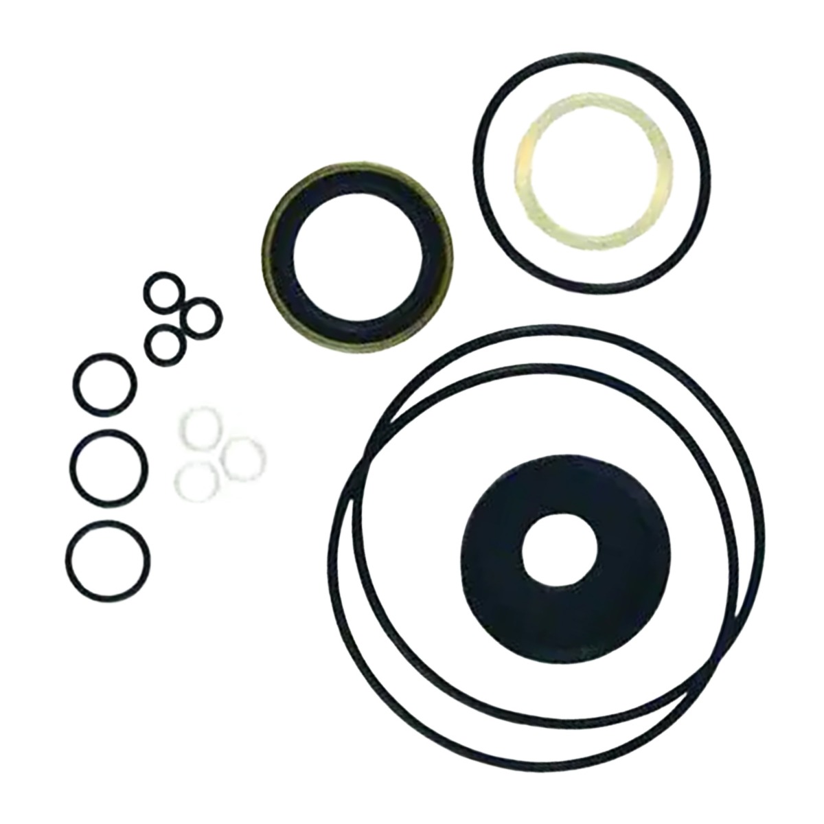 Kit de joints 15254SP pour Meyer
