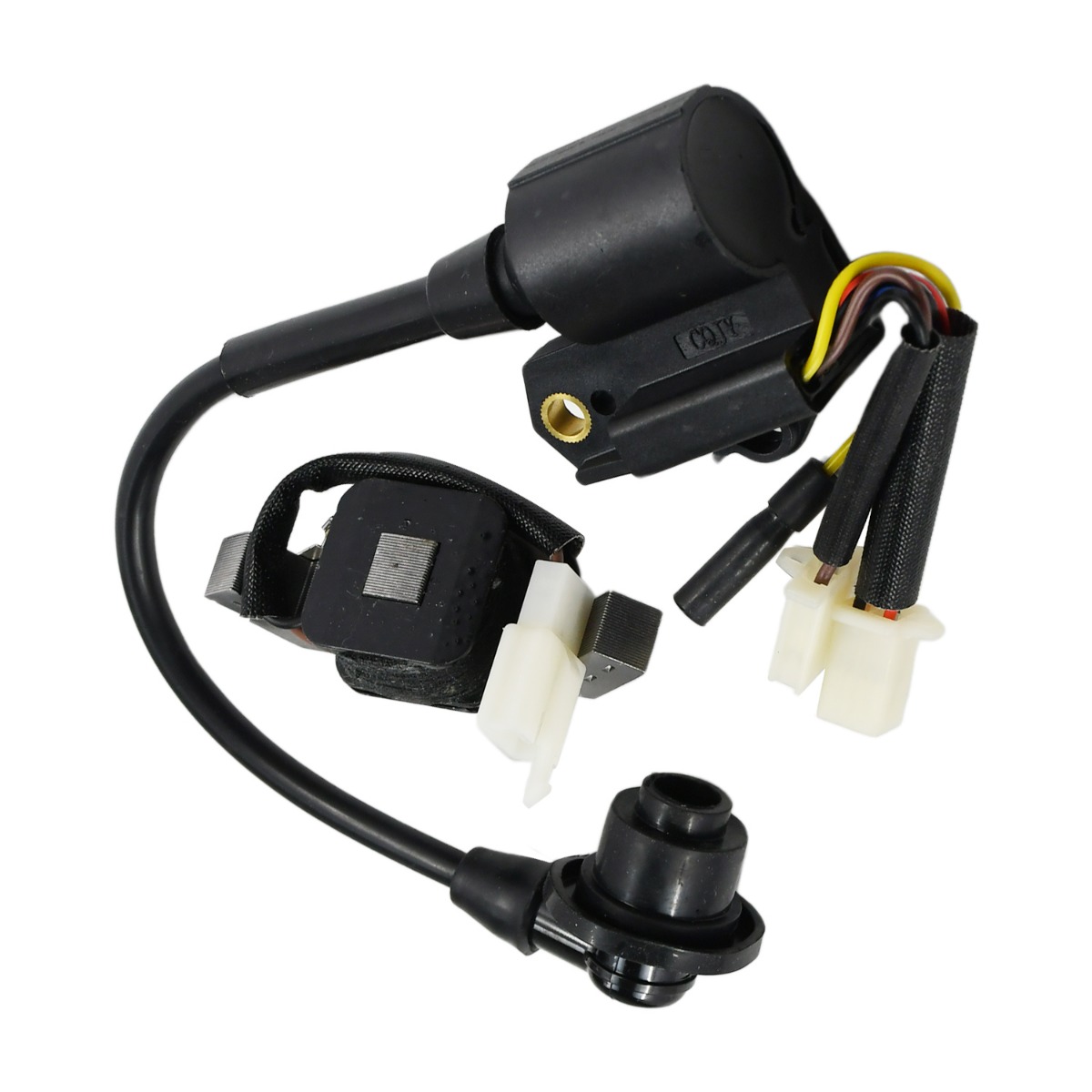 Module de bobine d'allumage PG2000iS