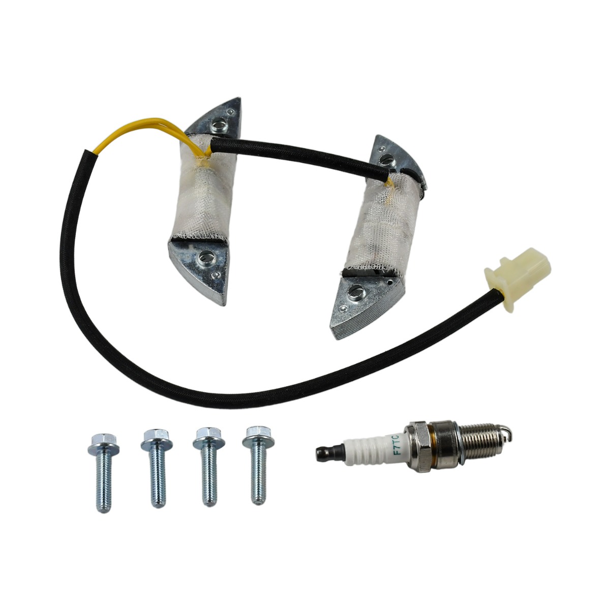 Montage de bobines de charge 12V 3A pour moteur Harbor Freight 69730