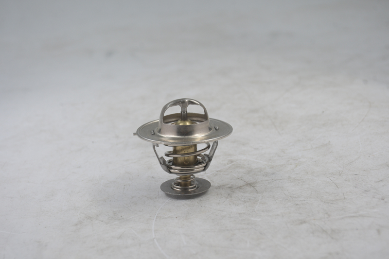 Thermostat A77736 47616858 3802273 Pour Case